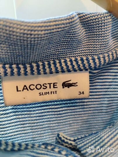 Поло Lacoste