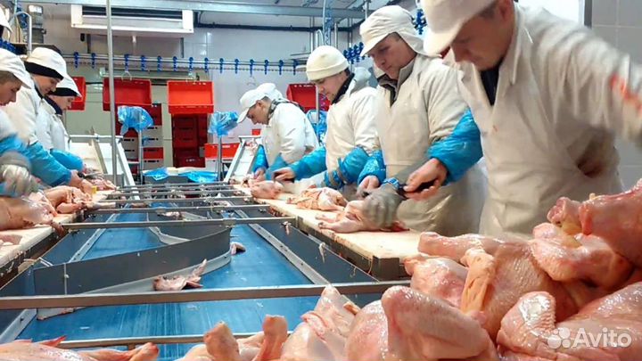 Требуется сотрудник на птицефабрику Челябинск