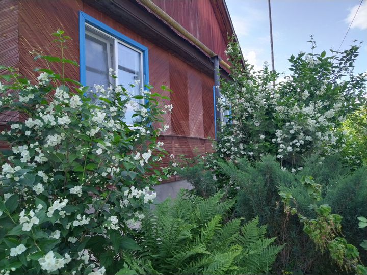 Дом 66,9 м² на участке 12,6 сот.