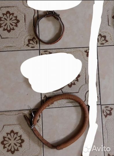 Ошейник для собак кожаный