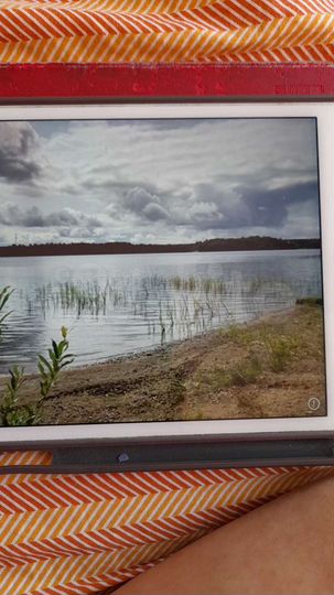 Участок 8 сот. (ИЖС)