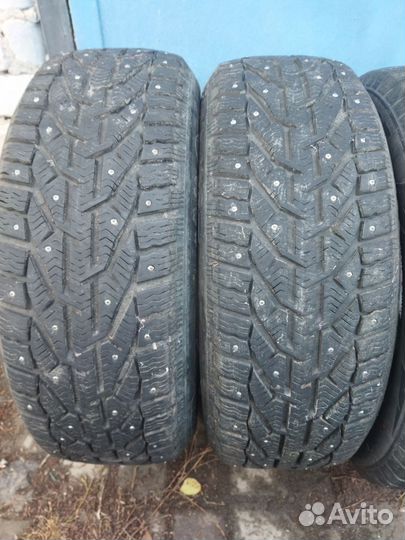 Tigar Ice 205/55 R16