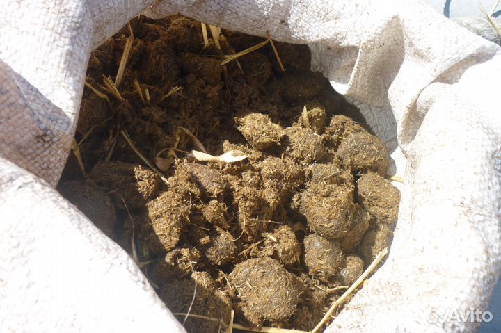 Продам конский навоз в мешках