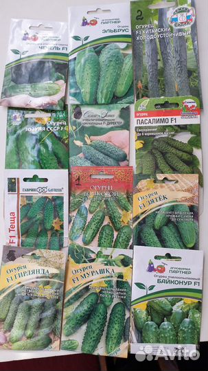 Рассада перцев, огурцов, капусты