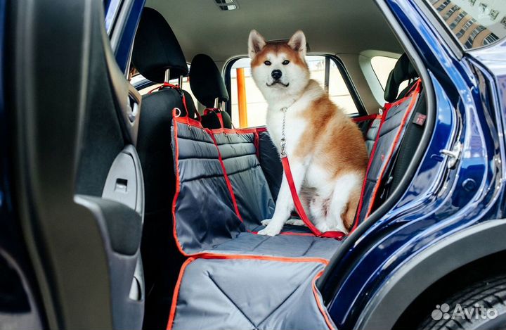 Зоопсихолог. Кинолог. Дрессировка собак.Передержка