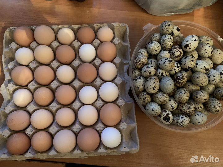 Домашние куриные яйца и перепелиные