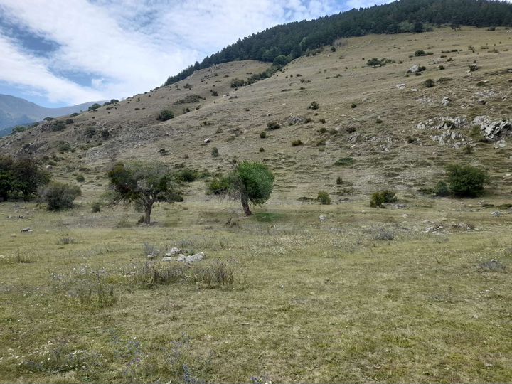 Участок 70 сот. (ИЖС)