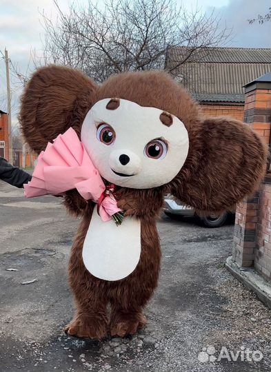 Детский аниматор