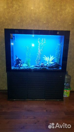 Аквариум