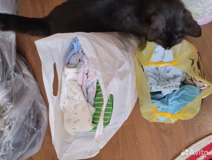 Детские вещи на мальчика б/у