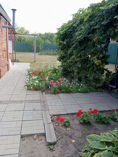 Дом 60 м² на участке 14 сот.