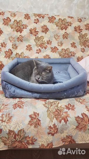 Лежанка для животных