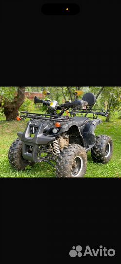 Avantis hunter 8 lux