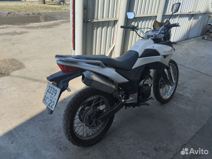 Racer Ranger 300