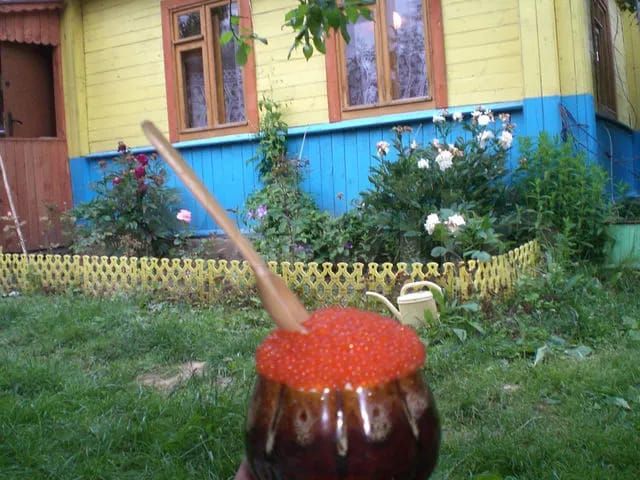 Дача 49,2 м² на участке 25 сот.