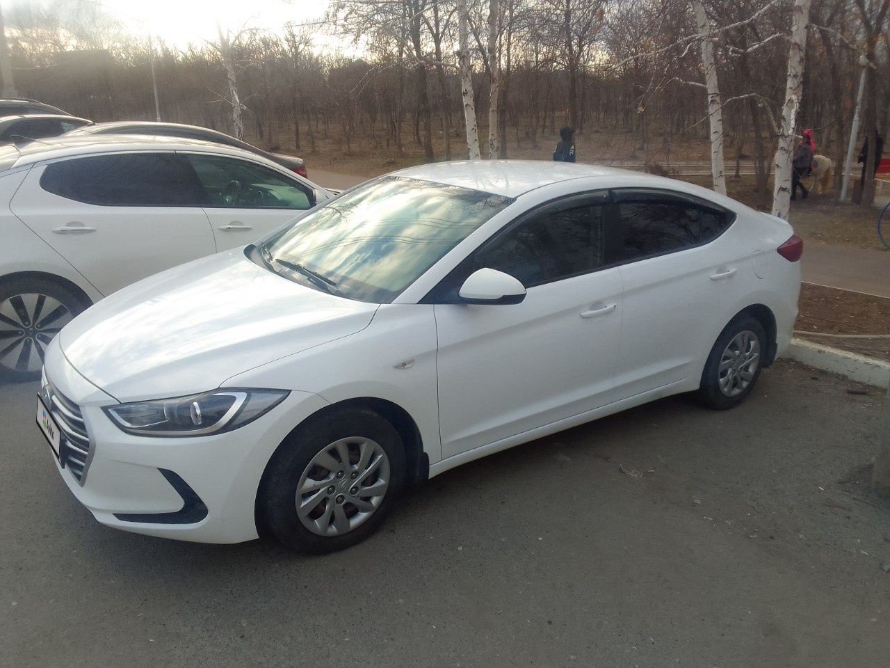 Hyundai Elantra: фото владельца