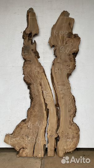 Слэбы карагач