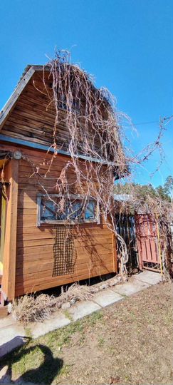 Дом 25 м² на участке 6 сот.