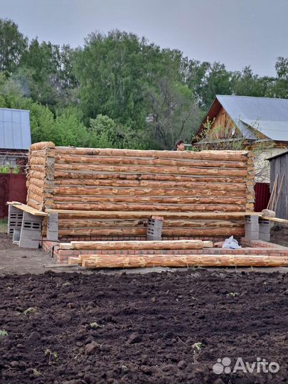 Штукатурка стен