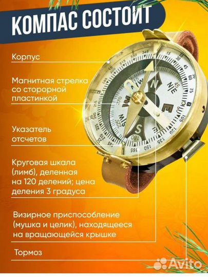 Компас адрианова