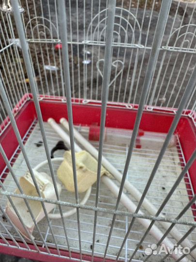 Клетка для птиц
