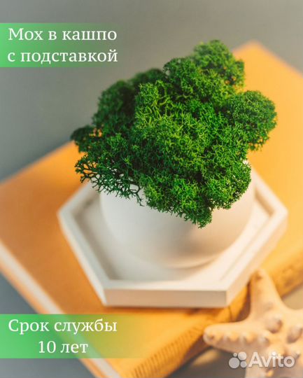 Кашпо вазочка конфетница