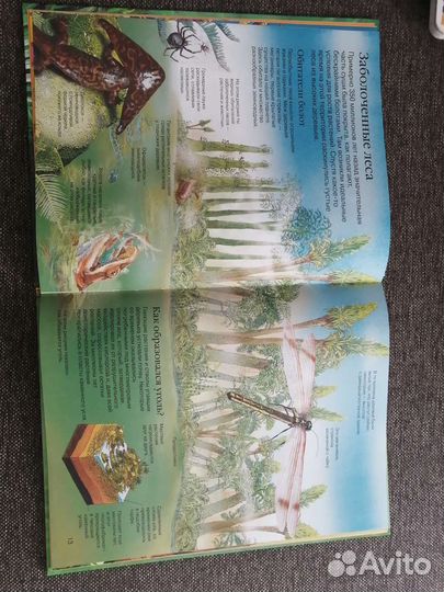 Энциклопедия динозавры