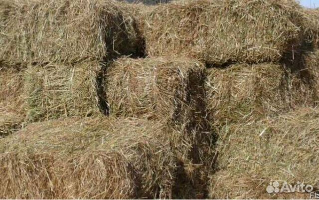 Авито объявления сено. Солома пшеничная тюк (20 кг). Суданка солома. На сено КРС суданка. Сено суданка для коз.