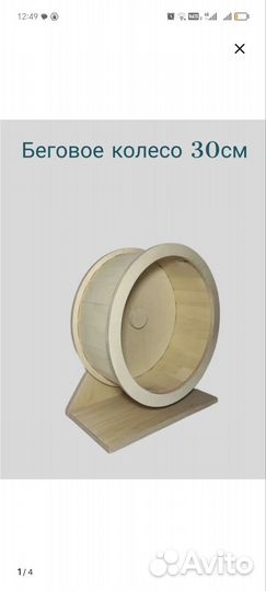 Африканский ежик