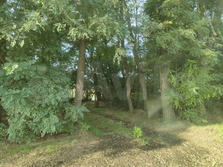 Участок 15,2 га (СНТ, ДНП)