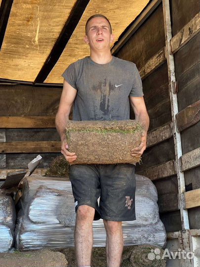 Грузоперевозки грузчики