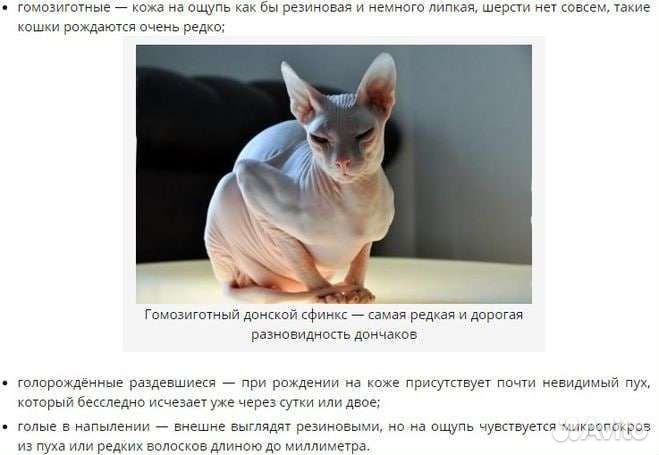 Донской сфинкс вязка
