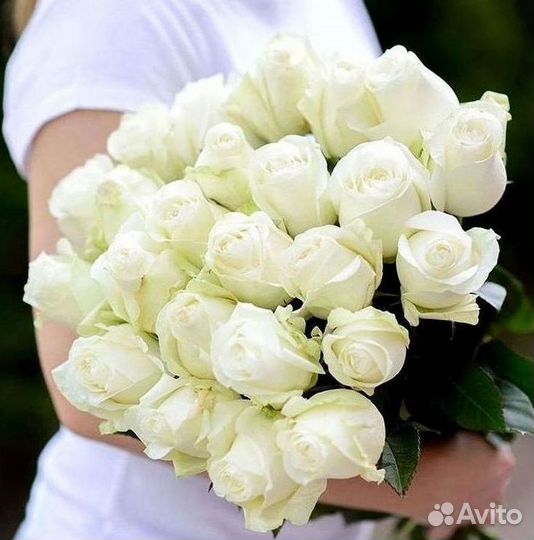 Розы Букеты Цветы Розы 31 101 151 201 Доставка