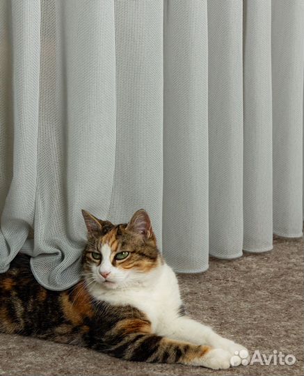 Тюль антикоготь