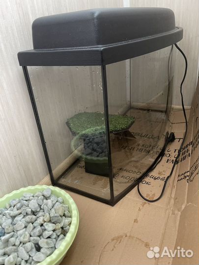 Аквариум на 50 литров