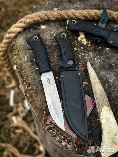 Беркут эластрон