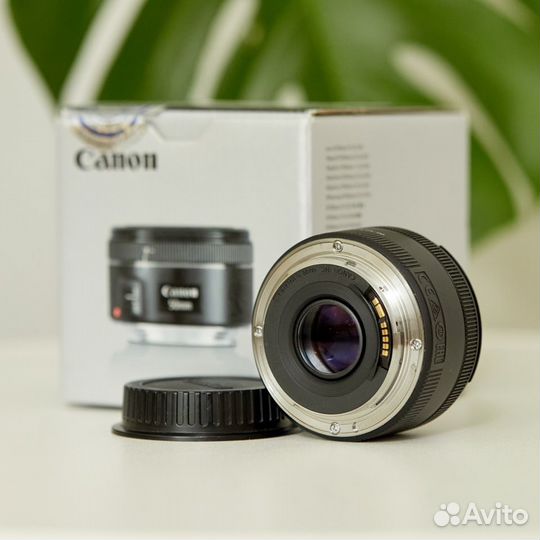 Canon ef 50mm f 1.8 stm