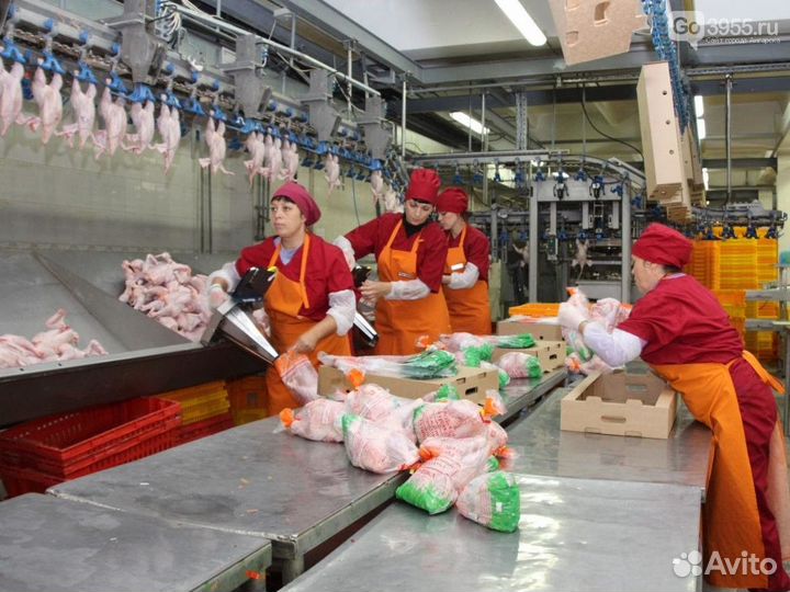 Разнорабочие м/ж/сем.пары п.Куженер