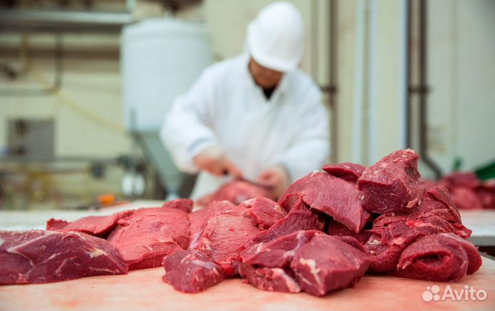 Рабочие на мясокомбинат в Воронежскую обл.Вахта