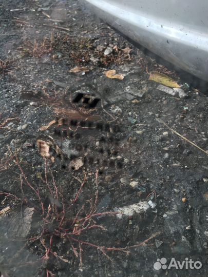 Honda Accord 8 08-13 Стекло двери передней правой