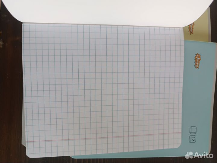 Тетрадь в крупную клетку