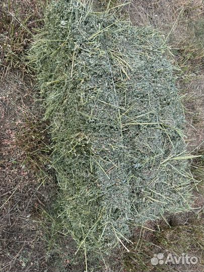 Сено люцерны 2 кос и солома проса