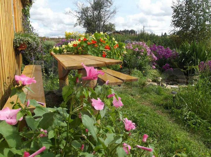 Дом 18,8 м² на участке 15 сот.