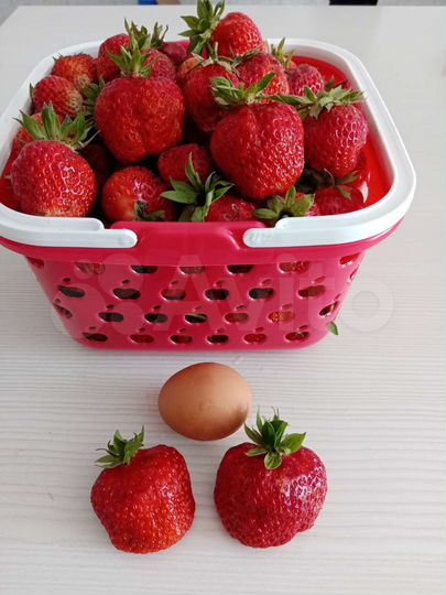 Дом 124 м² на участке 31 сот.