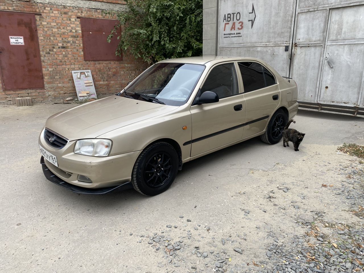 Hyundai Accent: фото владельца