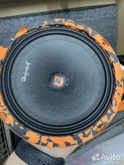 Dl audio barracuda 165