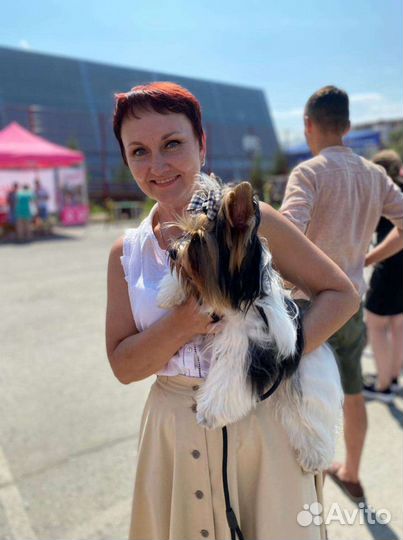 Бивер вязка