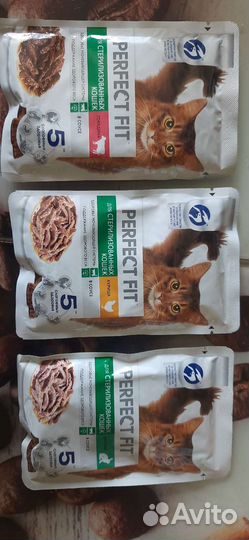 Корм для кошек