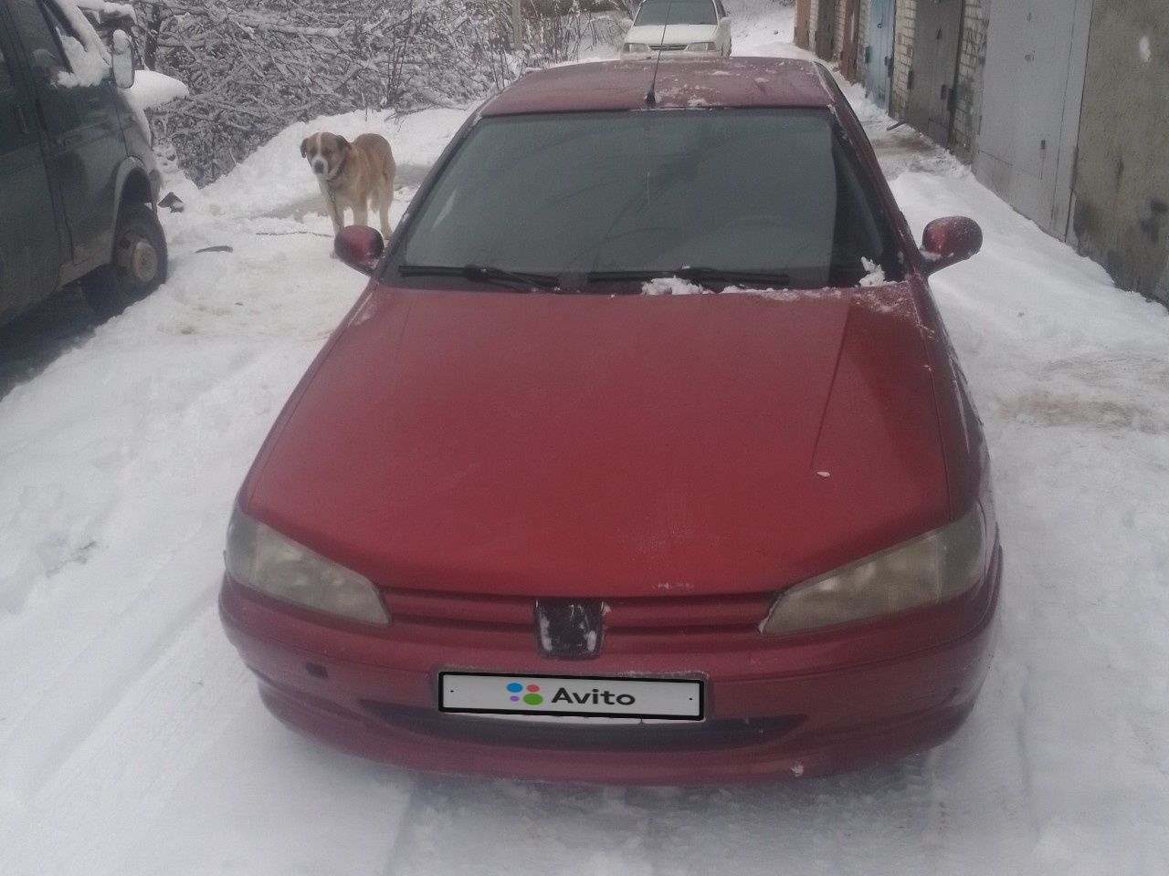 Peugeot 406: фото владельца