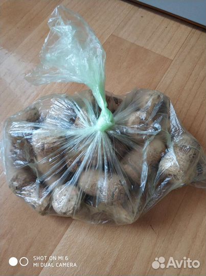 Пробки от шампанского